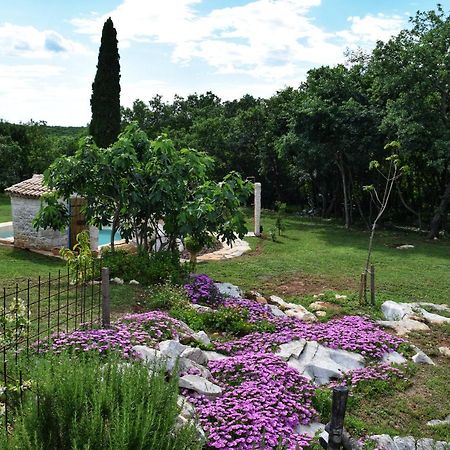 Cottage Al Merlo Olivo Buje Exterior photo