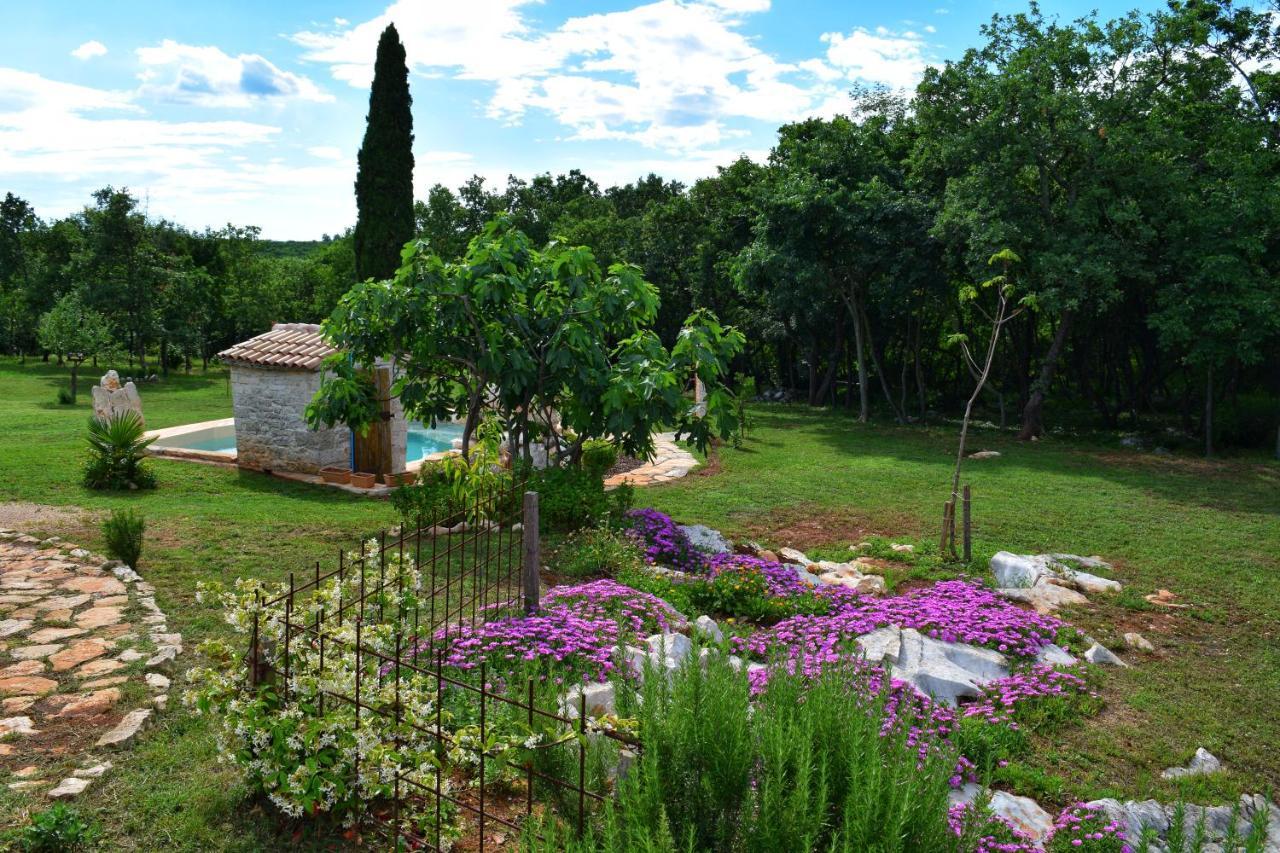 Cottage Al Merlo Olivo Buje Exterior photo