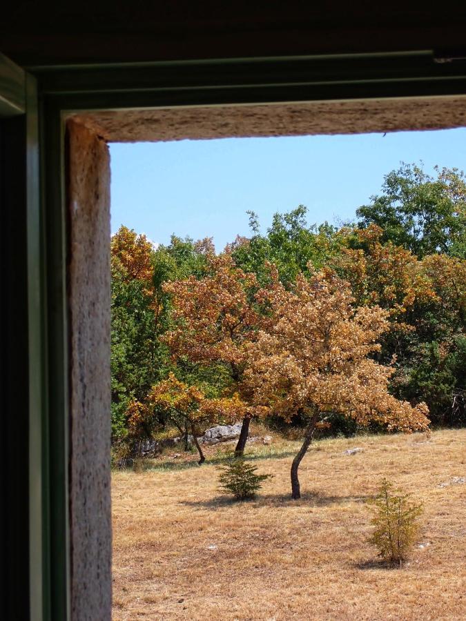 Cottage Al Merlo Olivo Buje Exterior photo