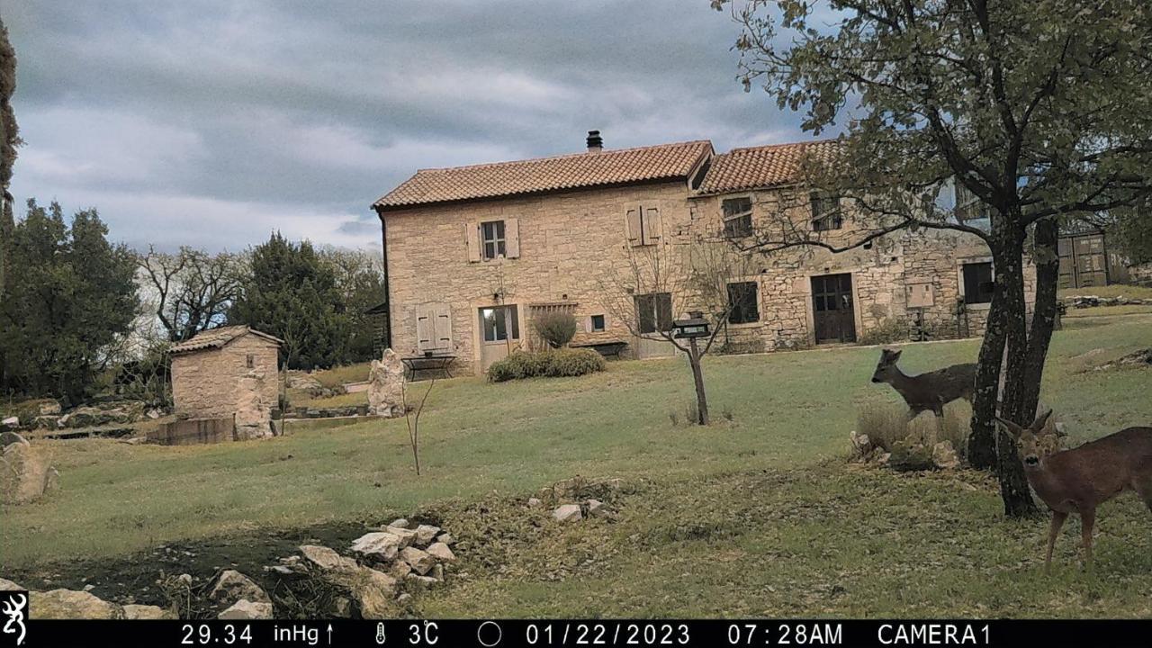 Cottage Al Merlo Olivo Buje Exterior photo